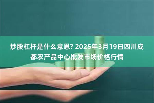 炒股杠杆是什么意思? 2025年3月19日四川成都农产品中心批发市场价格行情