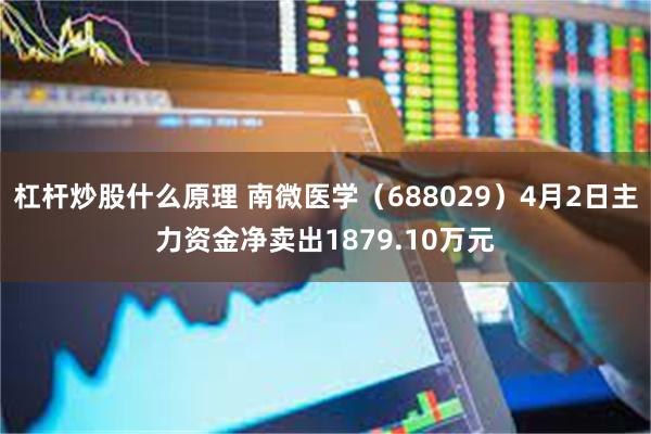 杠杆炒股什么原理 南微医学（688029）4月2日主力资金净卖出1879.10万元