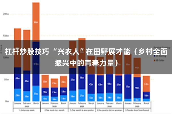 杠杆炒股技巧 “兴农人”在田野展才能（乡村全面振兴中的青春力量）