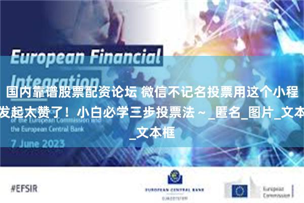 国内靠谱股票配资论坛 微信不记名投票用这个小程序发起太赞了！小白必学三步投票法～_匿名_图片_文本框