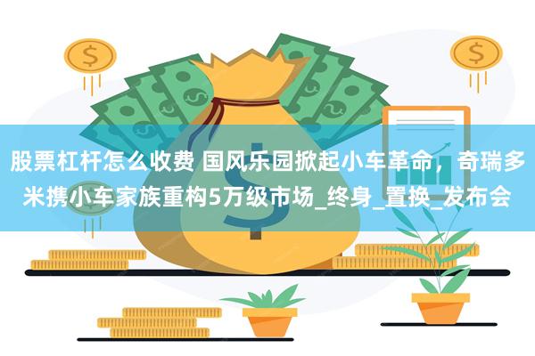 股票杠杆怎么收费 国风乐园掀起小车革命，奇瑞多米携小车家族重构5万级市场_终身_置换_发布会